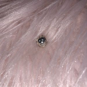 Lady Bug Pandora Charm